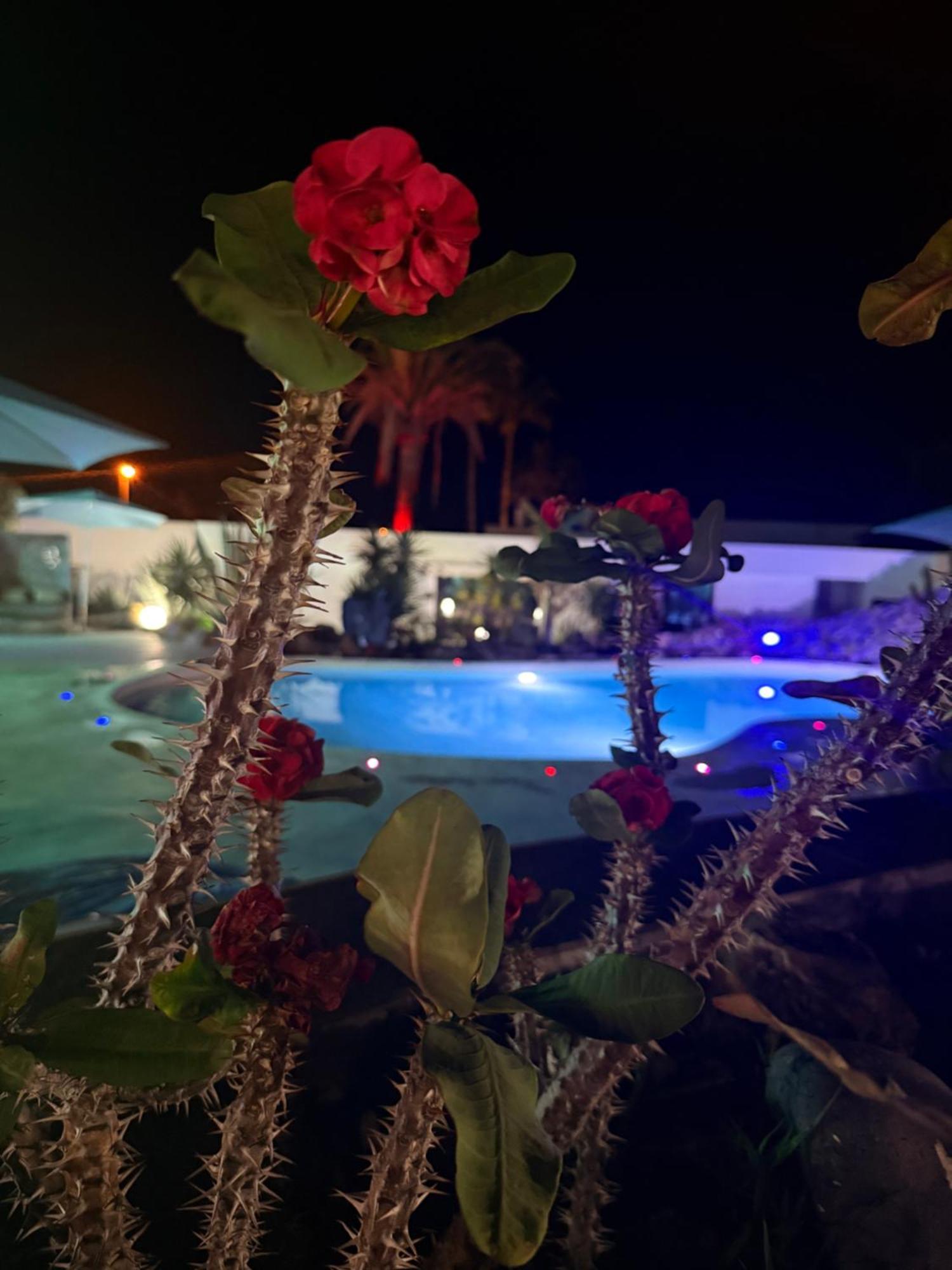 Paraiso Villas 플라야 파라이소 외부 사진